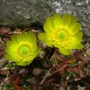 송백1리 이미지