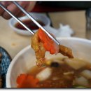 부광반점 이미지