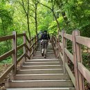 서울대공원 산림욕장길 이미지