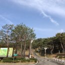 지리산숲속수목가옥 이미지