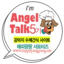 애견팡팡 이미지