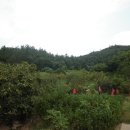 완도읍-4 이미지