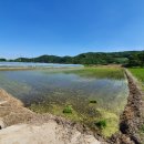 감정1리 경로당 이미지