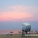 화진약국 이미지