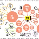 [신년기획-강원도 인터넷 검색지도]`맛집' 찾아 식도락 여행 이미지