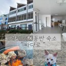 바다로 펜션 | 거제도 애견동반 펜션 추천 가족펜션 경남 바다뷰 가성비숙소 리얼후기