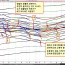 [ 환율의 길, 전세계 증권전문가 누구도 본적없는 파동의 길이다. ] 이미지