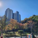 단지내봄날(701-0997)공인중개사 | [공지] [마포그랑자이] 네 번째 생일 앞두고, 전월세 매매동향