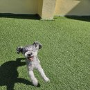 해봉유치원 이미지