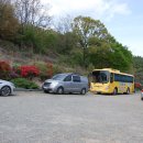 용산관광농원식당 이미지