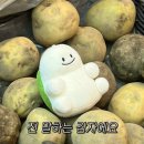 해동카셀프 | 5개월 아기랑 떠난 캠핑카 여행 ᐟᯓ★˚ (스타리아 캠핑카)