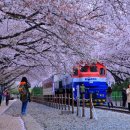 창원시티투어 이미지