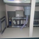 라라도그 이미지