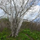 우리들 농장 이미지