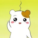 주식회사 나노 네이버블로그