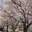 매머드익스프레스고색