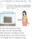 33회 한국사능력검정시험 고급 해설 29번 : 대전통편을 편찬한 정조의 업적 이미지