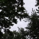 행복한일상 이미지