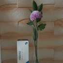 아름메디 이미지