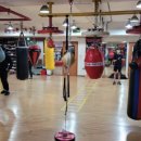 평촌 권투체육관 이미지