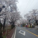 쌍계1교 이미지