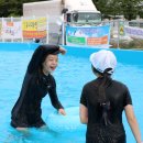 팡팡태권도장 이미지