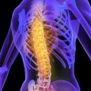 추부한의원 | [허리디스크 협착증 치료] 청림한의원