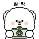 모꼬지댕카페