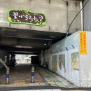 대저생태공원 입구 맞은편(대저1동 2314-1) | 부산 대저생태공원 핑크뮬리 경남 꽃구경 명소 위치 주차장