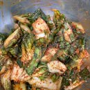 백령도 까나리수산