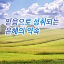 은혜 티스토리