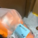 또래오래 고모점 | 무계획이 완벽했던 강원도 여행, 꿀 같은 기록