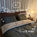 유한책임회사와이즈올 | 알레르망 런칭 28주년 50% 행사 양주 덕계점 방문! 내돈내산 이불세트 구매 후기, 신혼침구 신혼이불