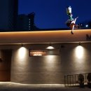 매그네이트 이미지