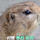 기봉이 농장 이미지