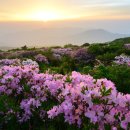 도선동천 이미지