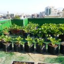 이정호농장 이미지