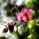 오월의 하루 이미지