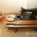 박정희로-17 이미지