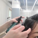 JOO 강아지미용실 | [서현역 미용실/서현 미용실] 분당 머리 잘하는 곳 살롱고은 두피클리닉 보경 부원장님 솔직 후기