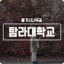 탐라대학교 | 제주도 홍가시나무길::탐라대학교