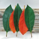 고집불통 이미지