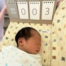 혜성산부인과병원 | 아산병원 제왕절개 2박3일 지옥의 모자동실 후기