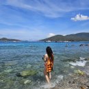 썬스파(해양) | 나트랑 산티아고 호핑투어 12월 스노클링 준비물 내돈내산 후기