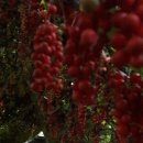 명산농장 이미지