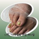 샛강역 근처 나무쉼표 패디 후기! 컬러맛집에 자석네일까지 완벽해, 누워서 한방에 가능