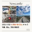 뉴캐슬카페