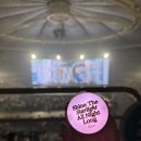 씨디앤유 | 5.0 앨범 발매 기념 10cm 콘서트 후기