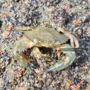 반도모텔 | 부안가볼만한곳 변산반도 부안숙소 아이랑 격포해수욕장근처 가성비