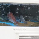 단대168-2 이미지
